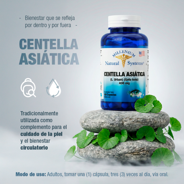 Centella Asiatica 400 mg x 60 capsulas Natural Systems