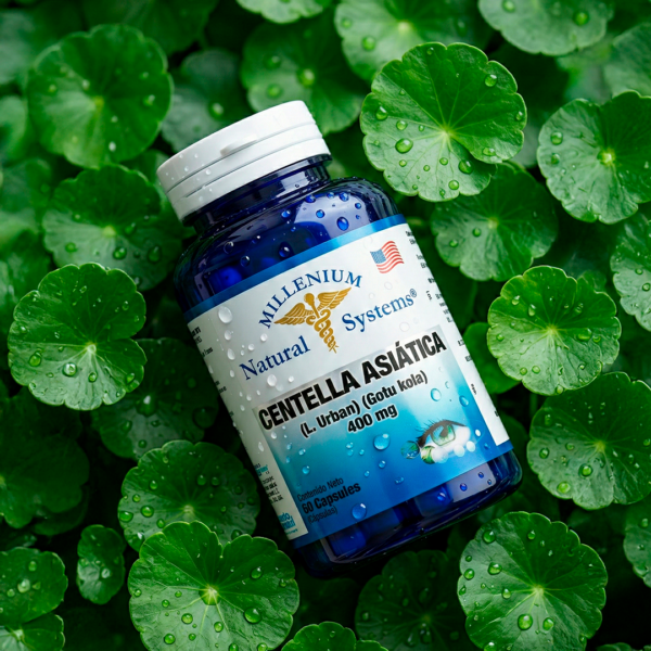 Centella Asiatica 400 mg x 60 capsulas Natural Systems