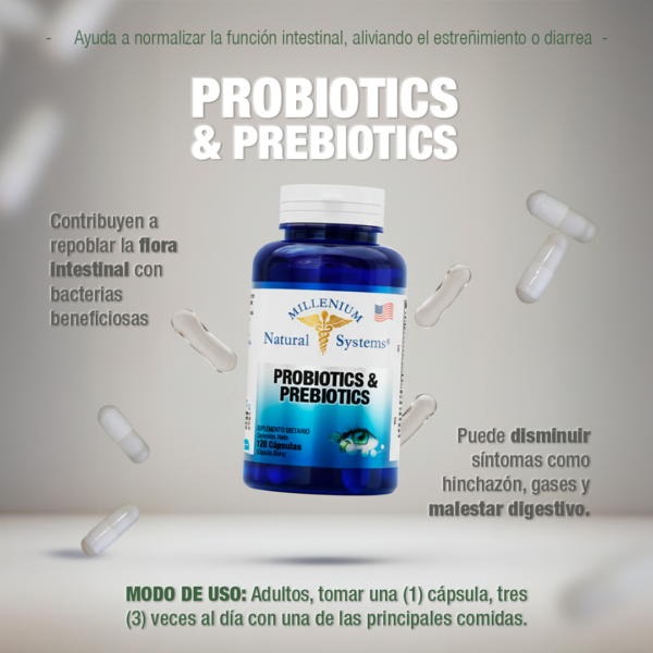 Probioticos y Prebioticos 120 Capsulas Natural Systems
