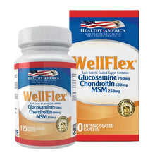 Wellflex 120Caplets Healthy America