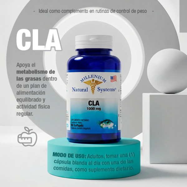 CLA 1000 mg – 90 Softgels Natural Systems